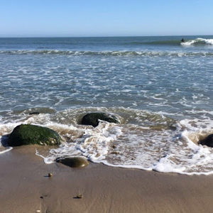 Meet your Posher, Lily